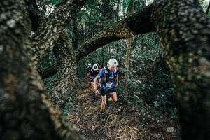 BIB: 
                            <button type="button" onclick="openModal(25392053)" class="btn btn-primary btn-sm float-right btn-popup" data-toggle="modal" data-target=".modal-high-quality">
                        <i class="fas fa-shopping-cart"></i> Add to Cart
                    </button>
                                            <button type="button" onclick="isThisMe(25392053, true)" class="btn btn-success btn-sm float-right btn-popup btn-isme hidden" data-toggle="tooltip" data-placement="bottom" title="นี่คือรูปของคุณใช่ไหม คลิกที่นี่เพื่อเอาเข้าอัลบั้ม">
                        <i class="fas fa-plus"></i> Add to album
                    </button>
                    <button type="button" onclick="isThisMe(25392053, false)" class="btn btn-warning btn-sm float-right btn-popup btn-isnotme hidden">
                        <i class="fas fa-ban"></i> Remove from album
                    </button>